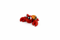 Crab