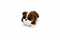 English Bulldog (dog)