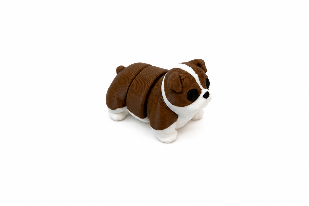 English Bulldog (dog)