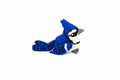 Blue Jay (blue bird)