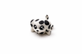 Dalmatian Puppy
