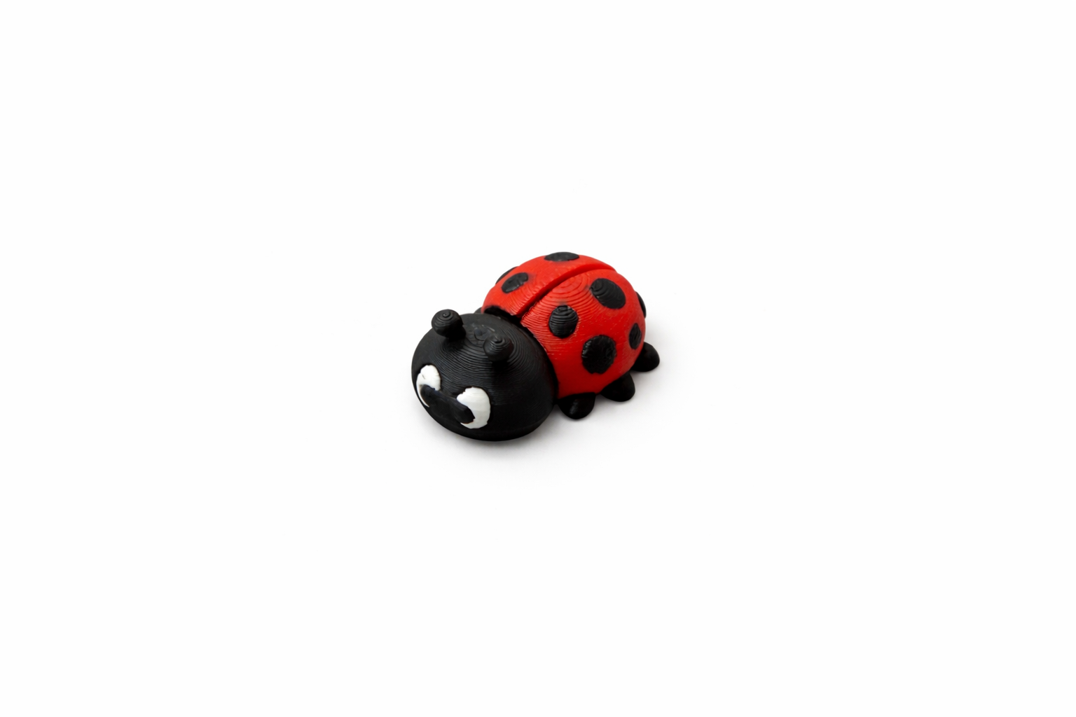 Lady Bug