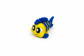 ANGEL-FISH